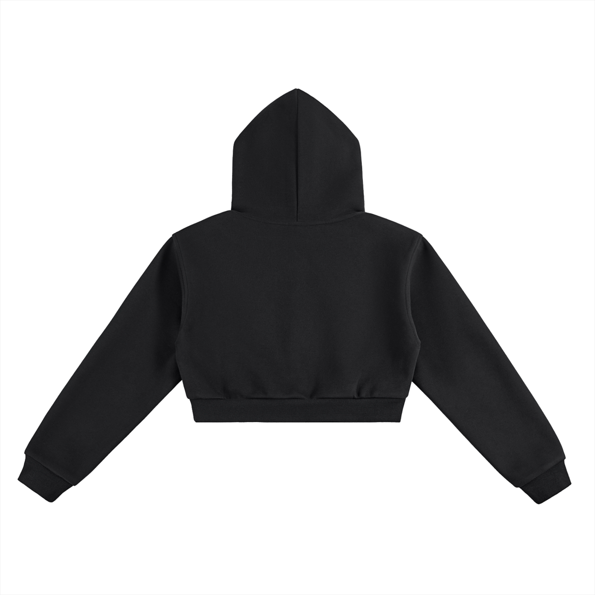 SupersmartLIB Cropped Hoodie